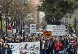 La manifestación que ha recorrido las calles de Valencia.