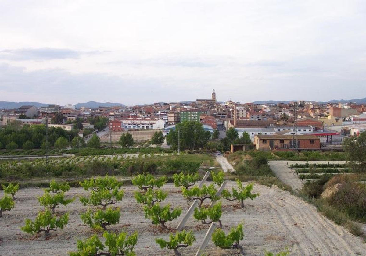 Vista general de La Pobla del Duc.