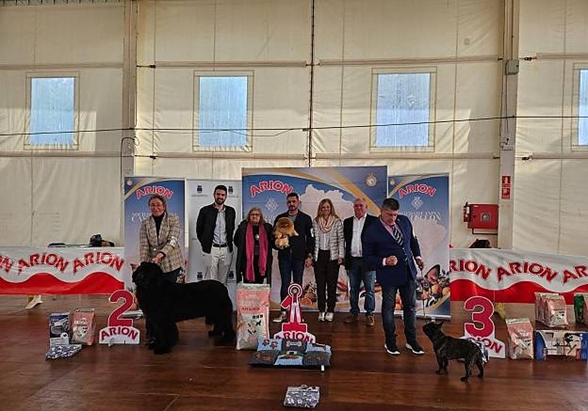 Oropesa del Mar ha celebrado su Concurso Canino hoy domingo