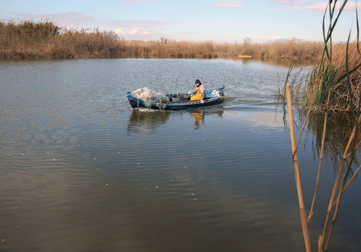 Un pescador faena en la Albufera.