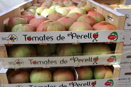 Tomates de El Perelló.