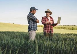 Dos agricultores con un ordenador portátil en un campo de cereal. Una de tantas imágenes preparadas con las que se intenta hacer ver a menudo que el proceso digitalizador de las actividades agrarias florece sin parar y resulta además muy útil, lo que en la realidad del día es todavía más utópico que práctico en innumerables facetas y, por tanto, mucho menos aceptado y extendido de lo que oficialmente se pretende.