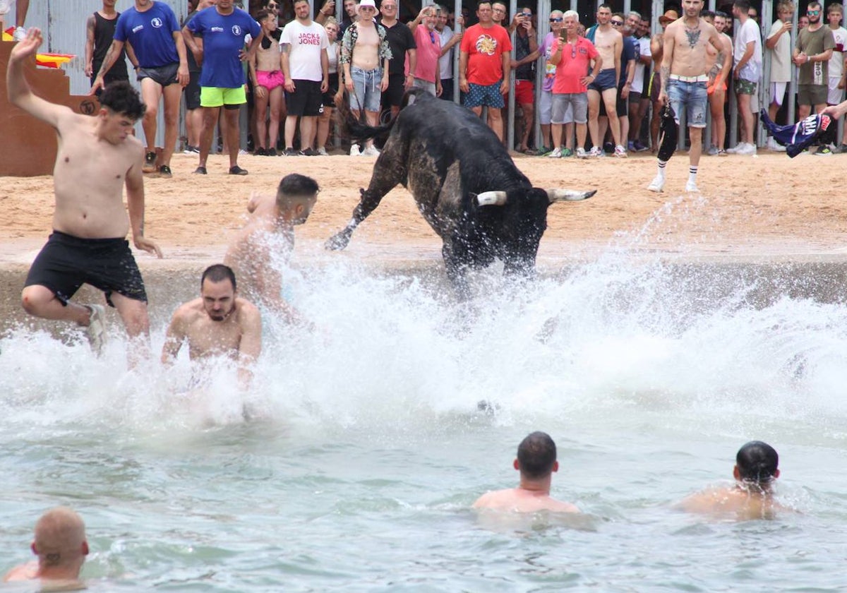 Una sesión de los bous a la mar de Dénia de julio del pasado año.