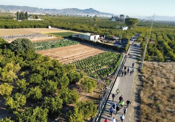 Ruta senderista de la pasada edición.