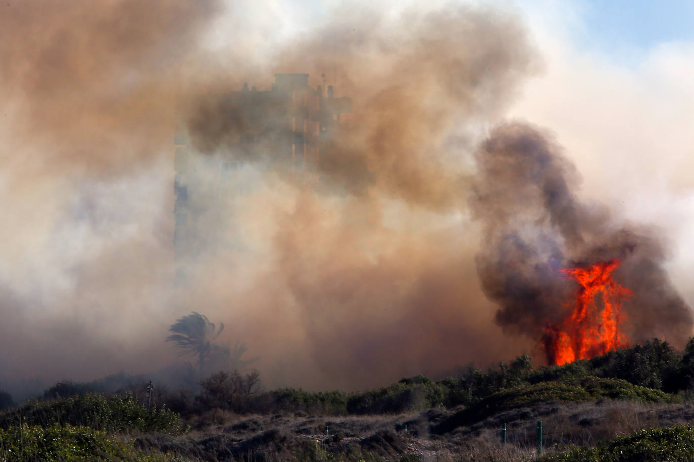 Fotos del incendio de El Saler que ha obligado a desalojar seis edificios