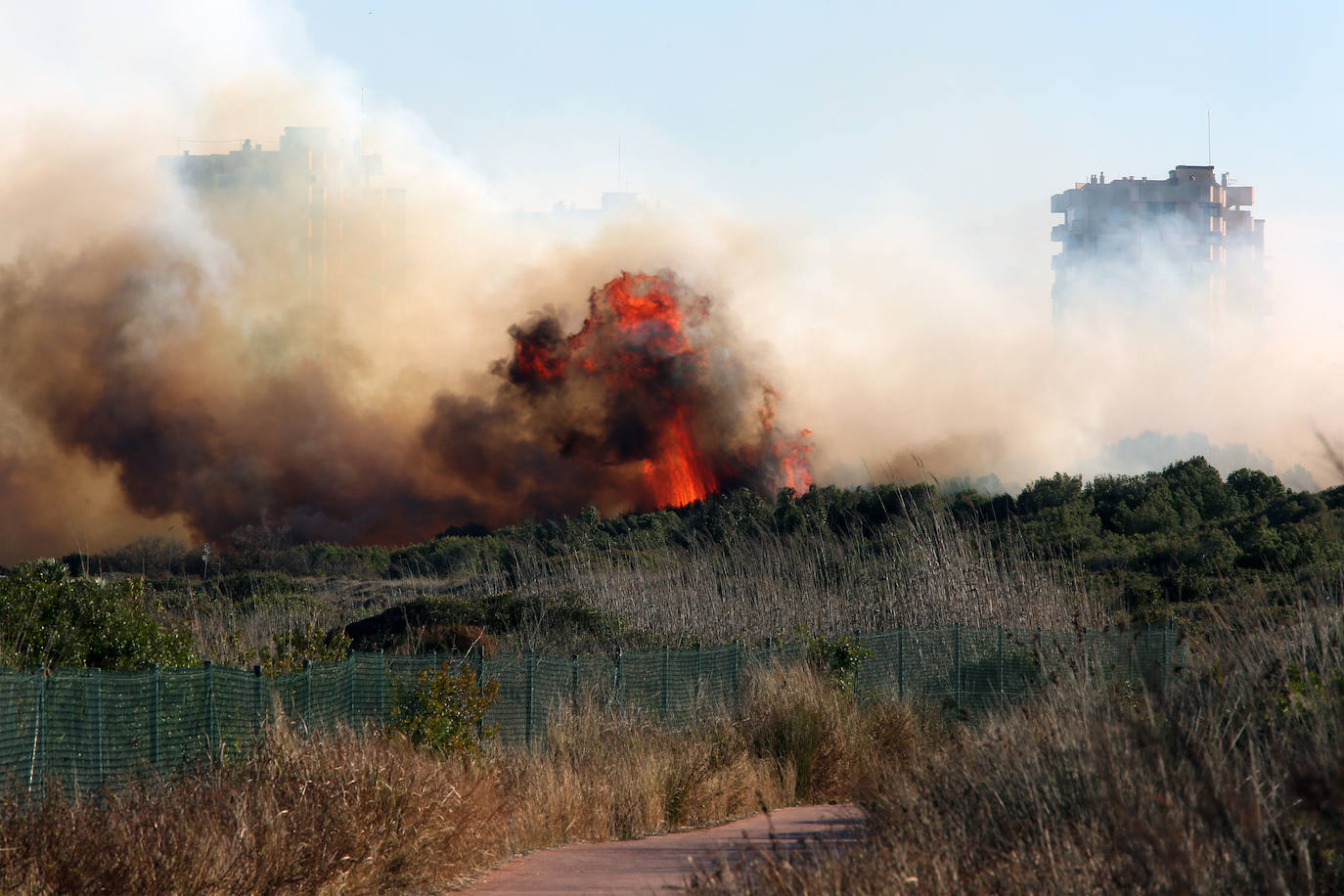 Fotos del incendio de El Saler que ha obligado a desalojar seis edificios