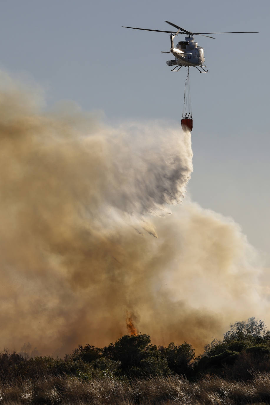 Fotos del incendio de El Saler que ha obligado a desalojar seis edificios