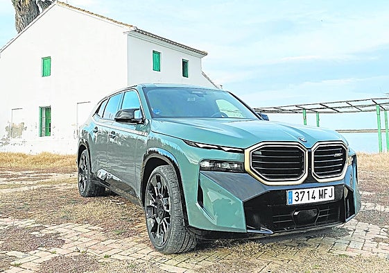 El color de lanzamiento no puede ser más acertado para este modelo.