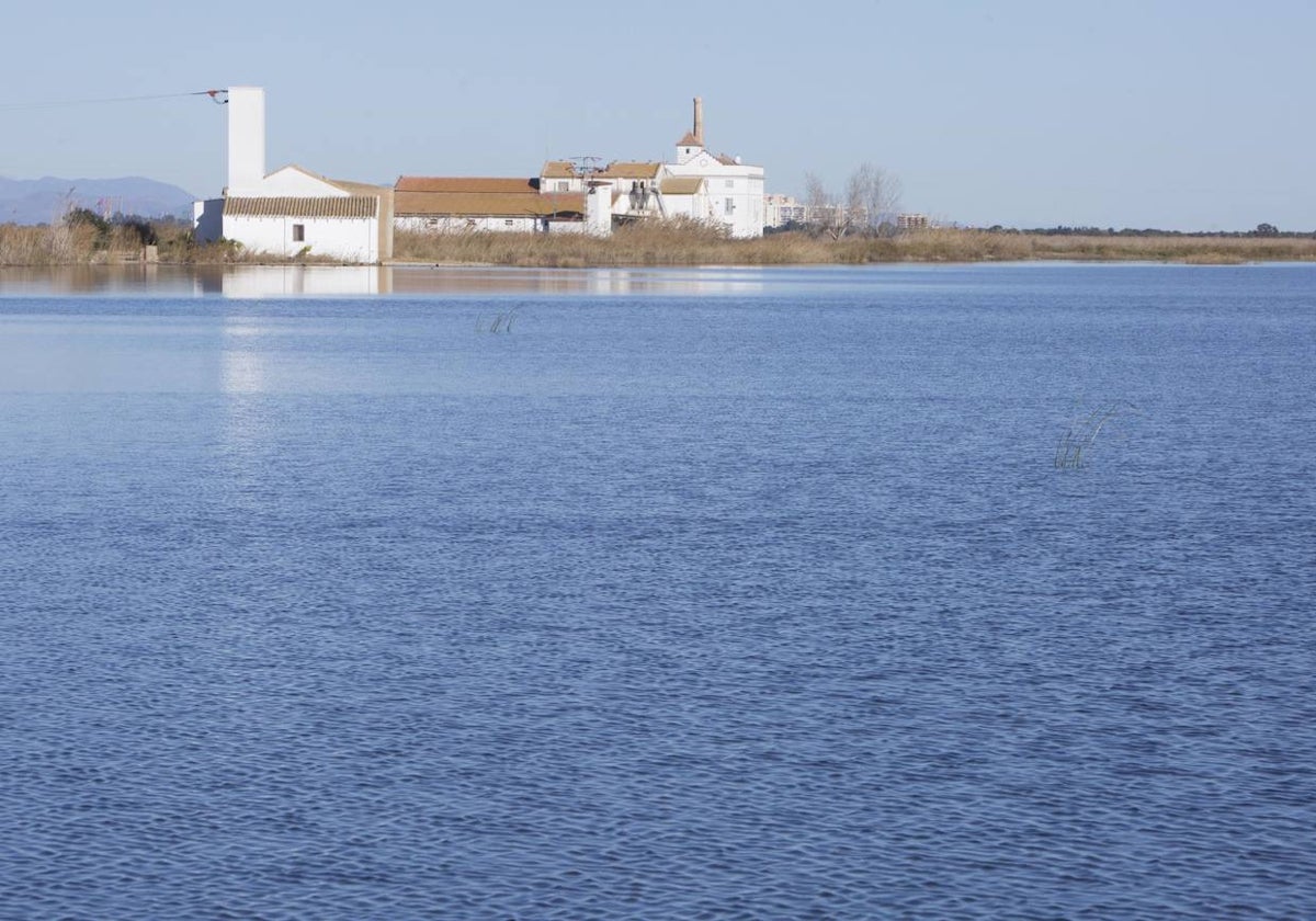 Un paraje de la Albufera.