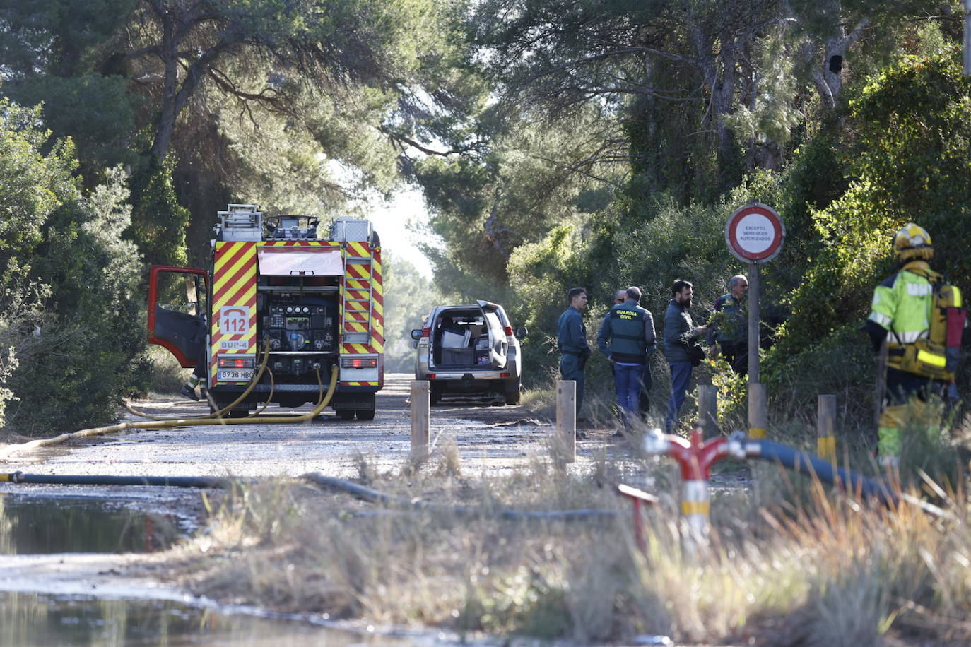 Fotos del incendio de El Saler que ha obligado a desalojar seis edificios