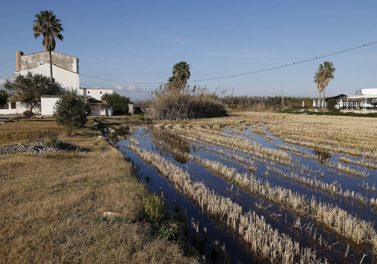 Unos campos en la Albufera.