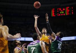 Los horarios de la Copa del Rey de baloncesto 2024, del Real Madrid al Valencia Basket