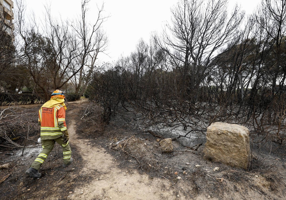 Un bombero recorre la zona calcinada junto a Aparwaks, este miércoles.