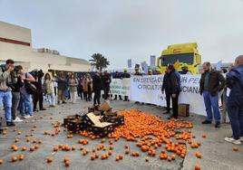 Los agricultores valencianos tiran mandarinas ante el Puerto de Castellón para denunciar la «competencia desleal»