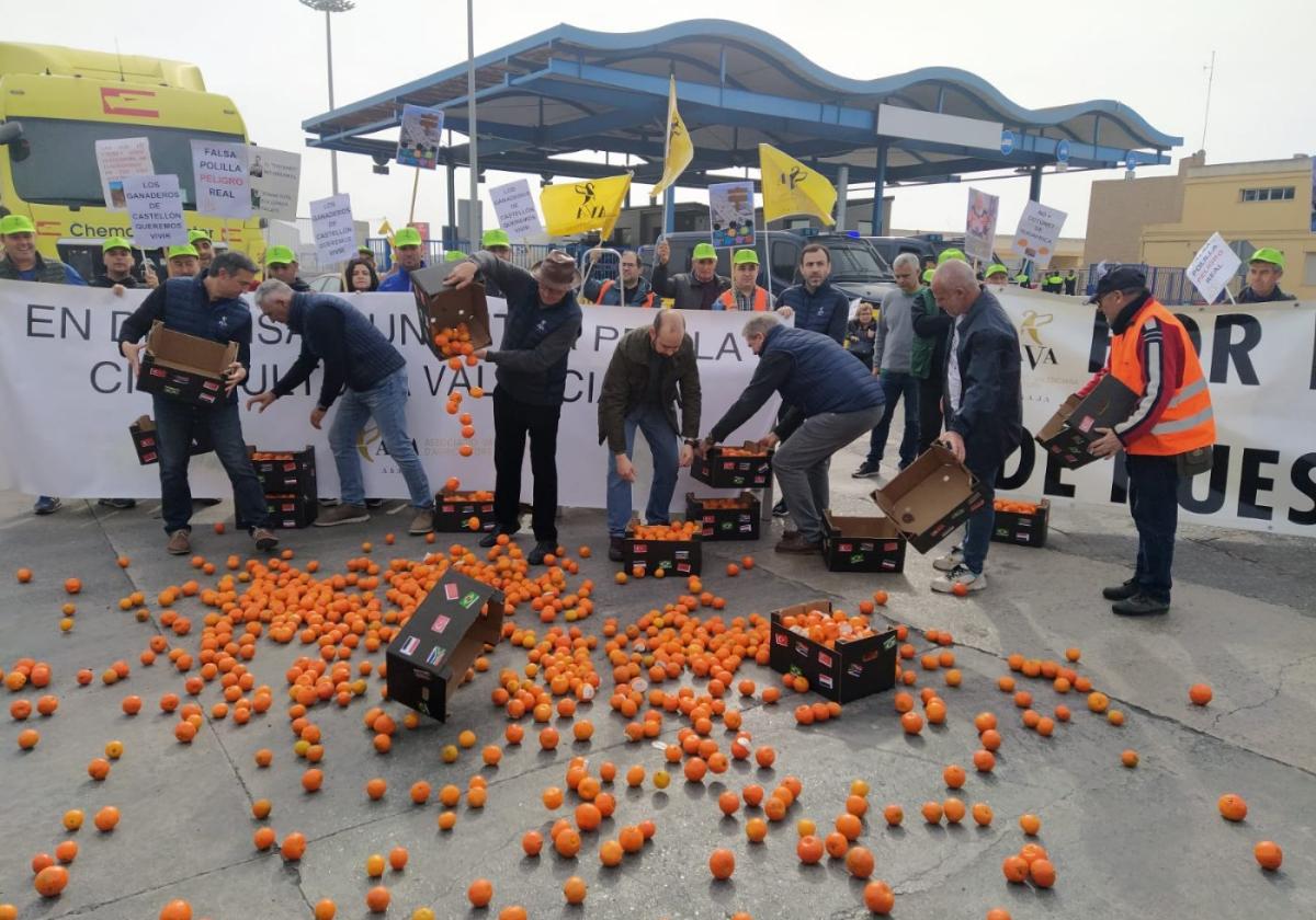 Protesta de AVA en el puerto de Castellón contra la importación de cítricos baratos de países terceros.