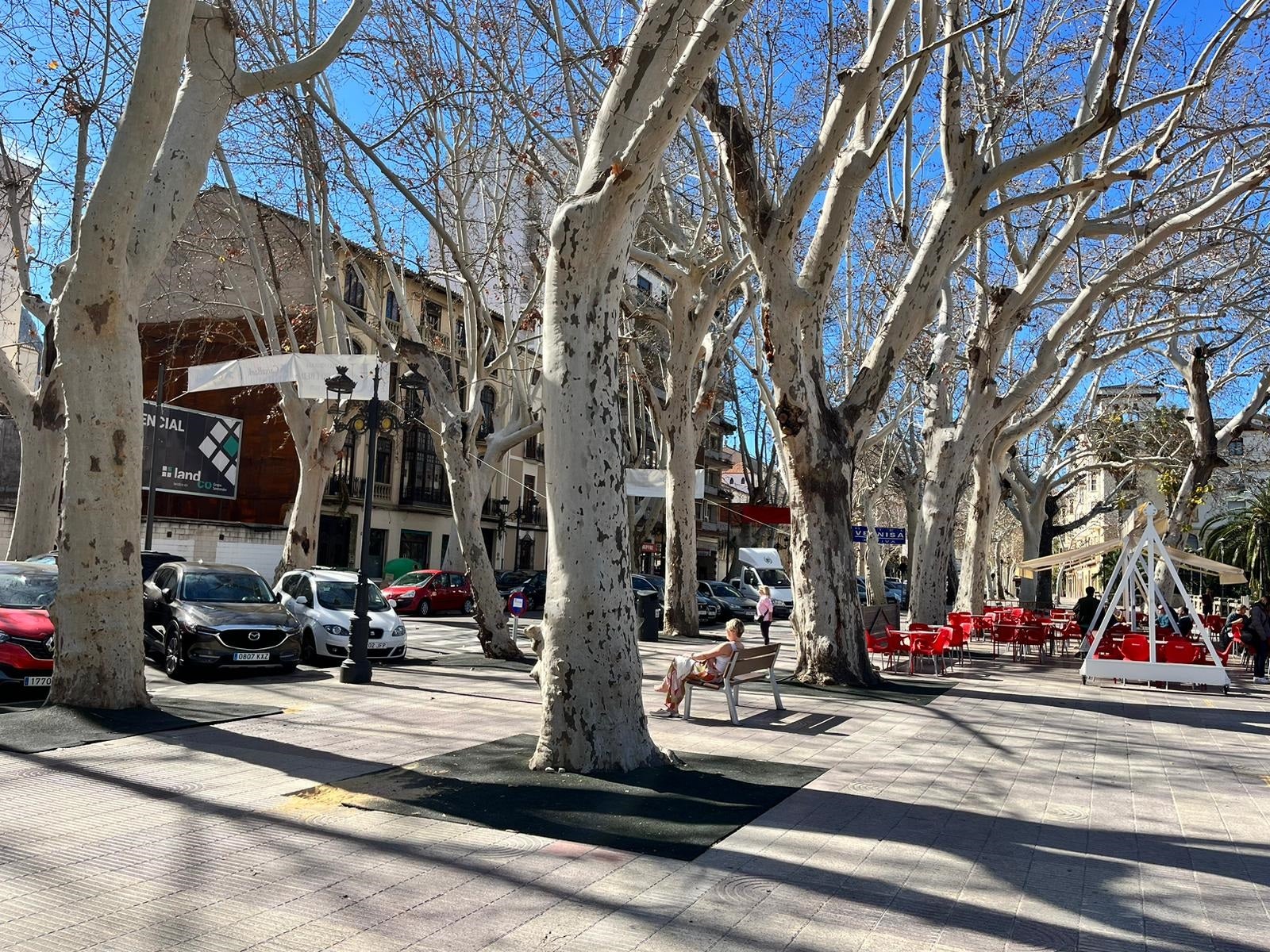 Xàtiva eliminará cinco plataneros de la Alameda debido a su estado crítico