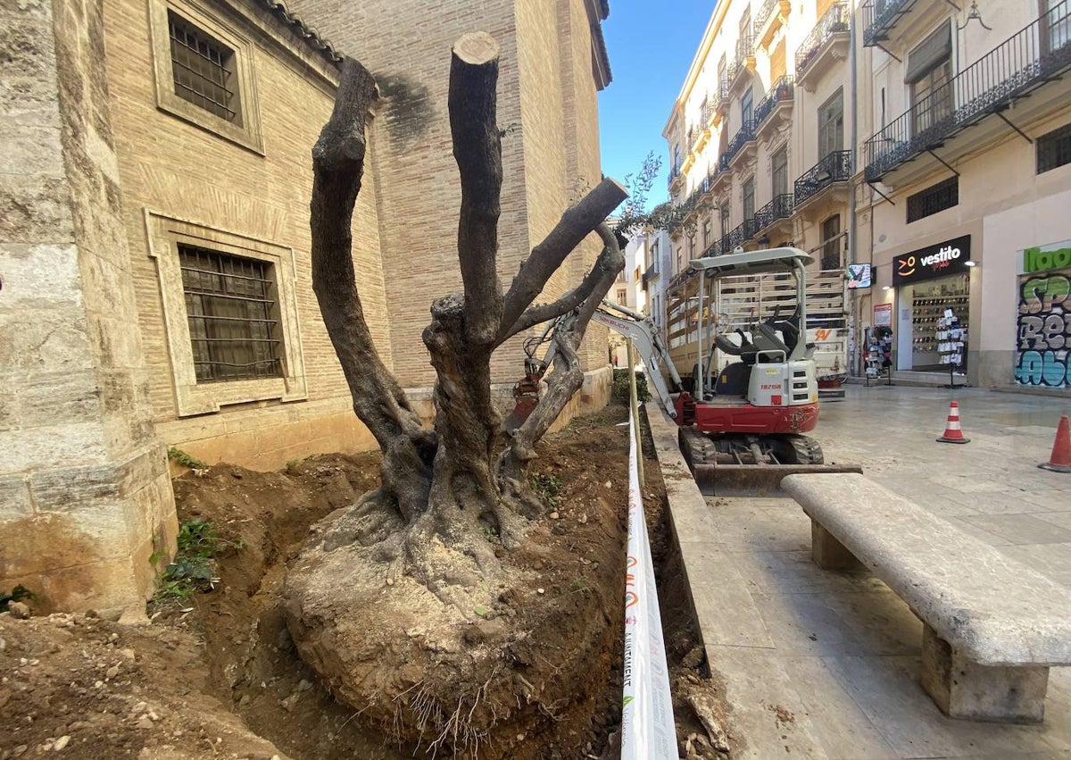 Imagen secundaria 1 - Trabajo de retirada de los arboles, por la contrata municipal de Parques y Jardines.