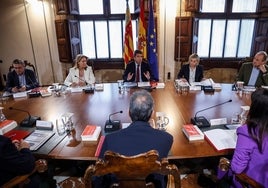 Carlos Mazón preside una sesión plenaria del Consell.