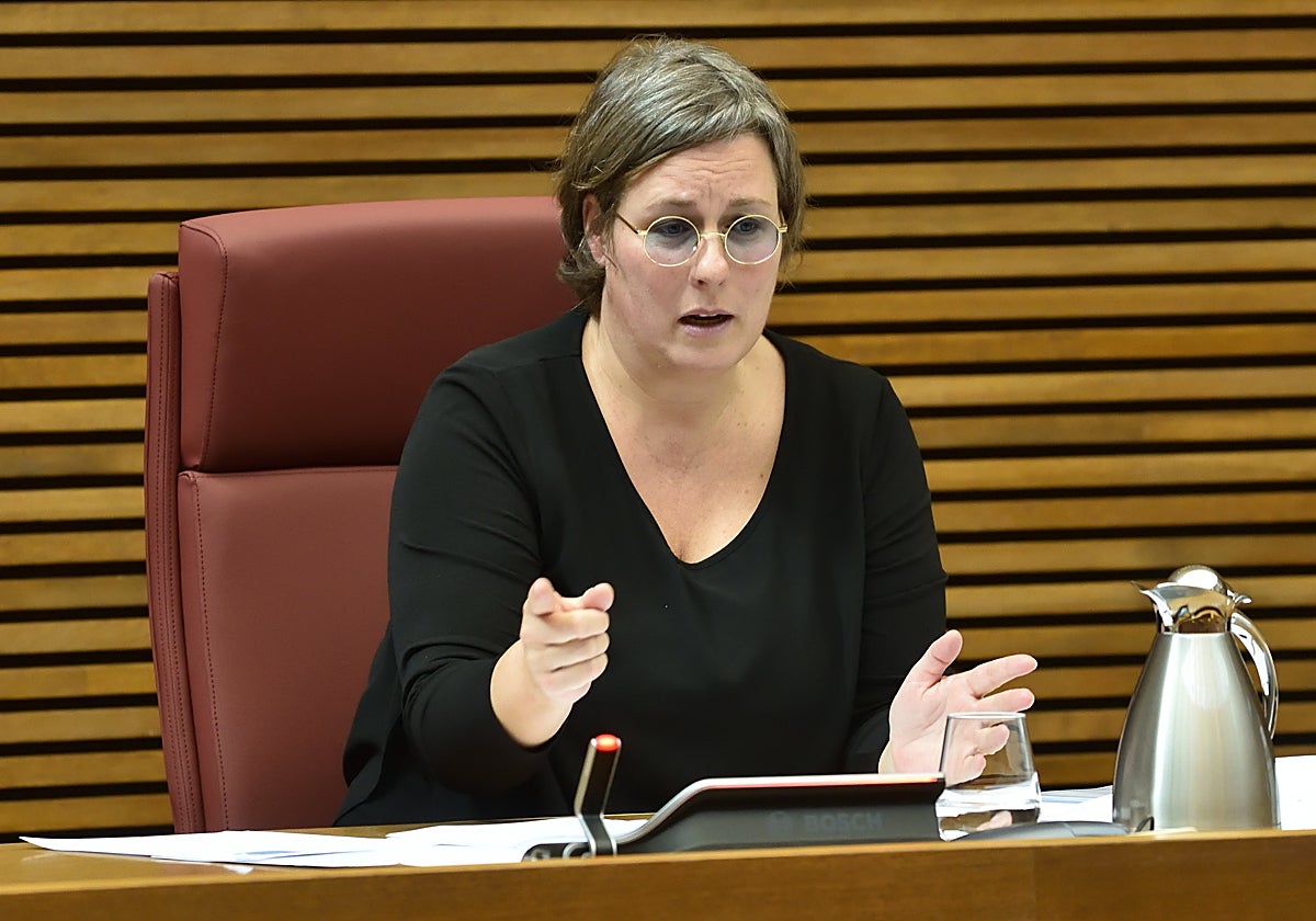 Mako Mira, durante una comparecencia en Les Corts.