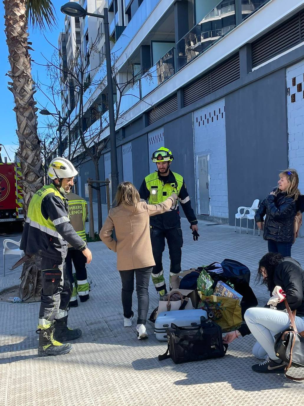 El gato &#039;Coco&#039;, con vida tras el incendio de Campanar