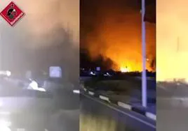 Incendio en palmeral de Torrevieja.