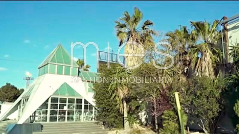 Así está actualmente Banana&#039;s, la mítica discotca valencianas