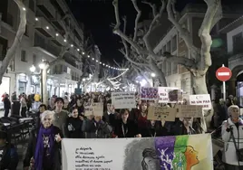 La manifestación que ha recorrido esta tarde el centro de Dénia.