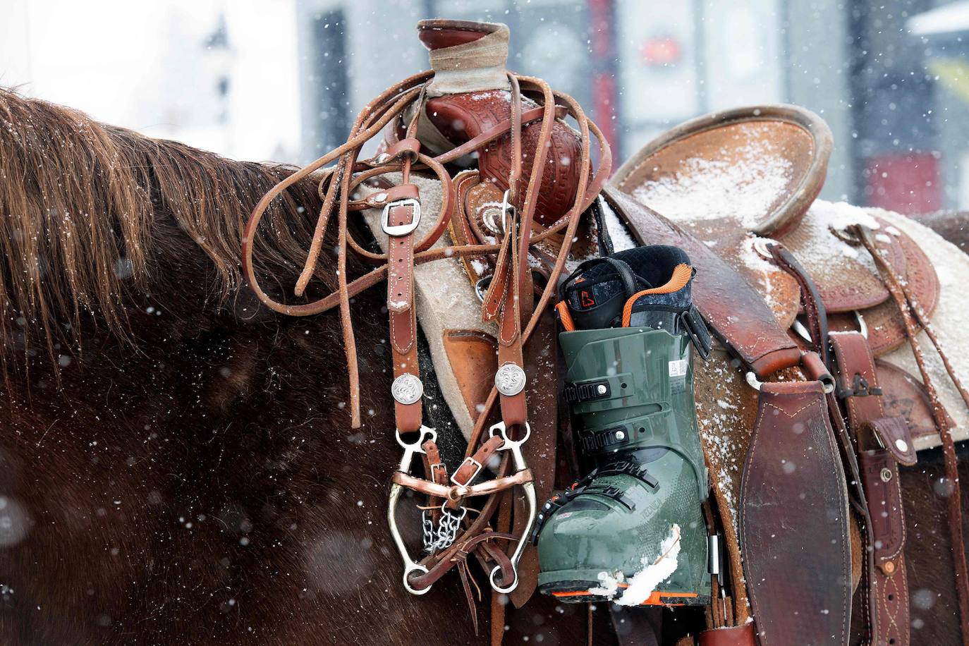 &#039;Skijoring&#039;, el esquí ecuestre toma las calles de Leadville