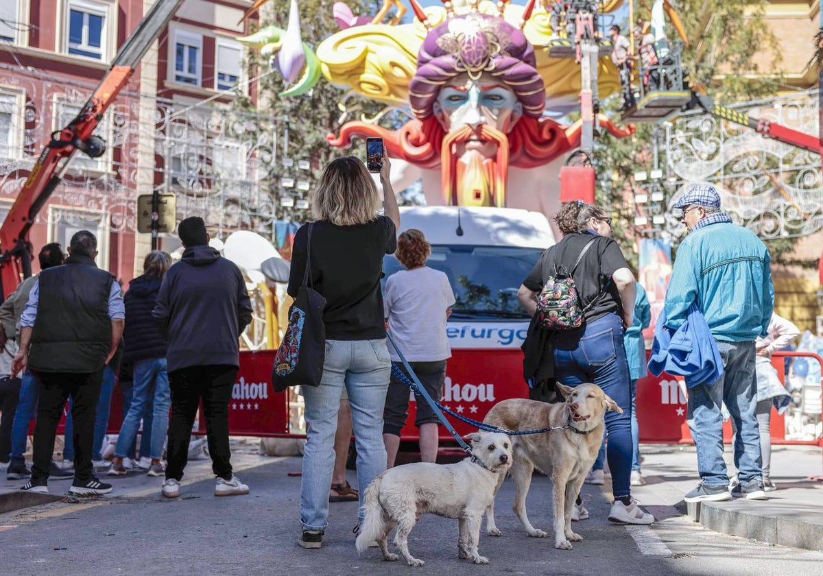 Los perros sufren durante todo el mes de marzo.