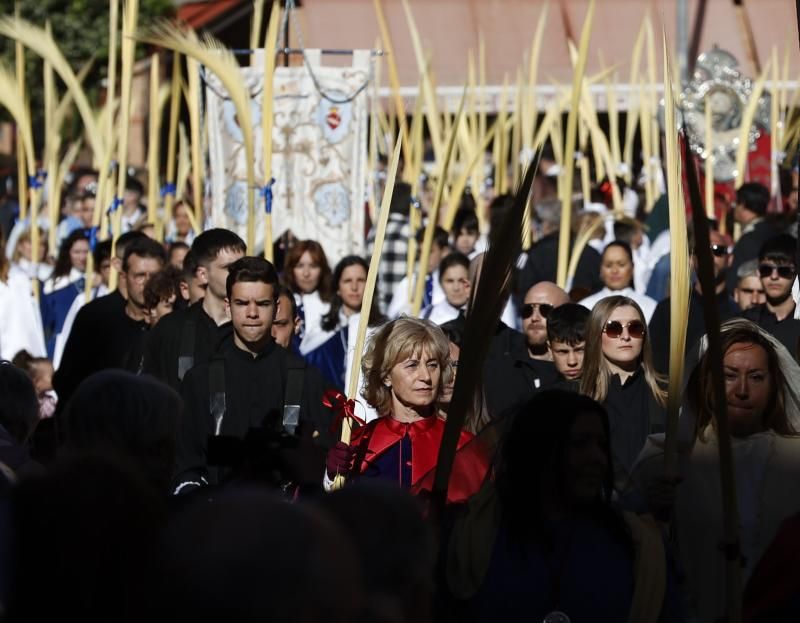 Procesión del Domingo de Ramos