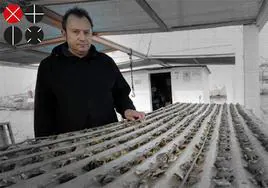 César Gómez, en las bateas del puerto de Valencia donde cría las ostras.