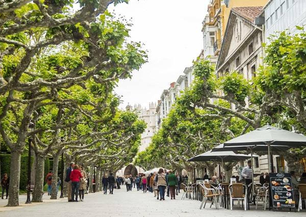 Imagen secundaria 1 - Paseo del Espolón y Plaza de la Flora, en Burgos