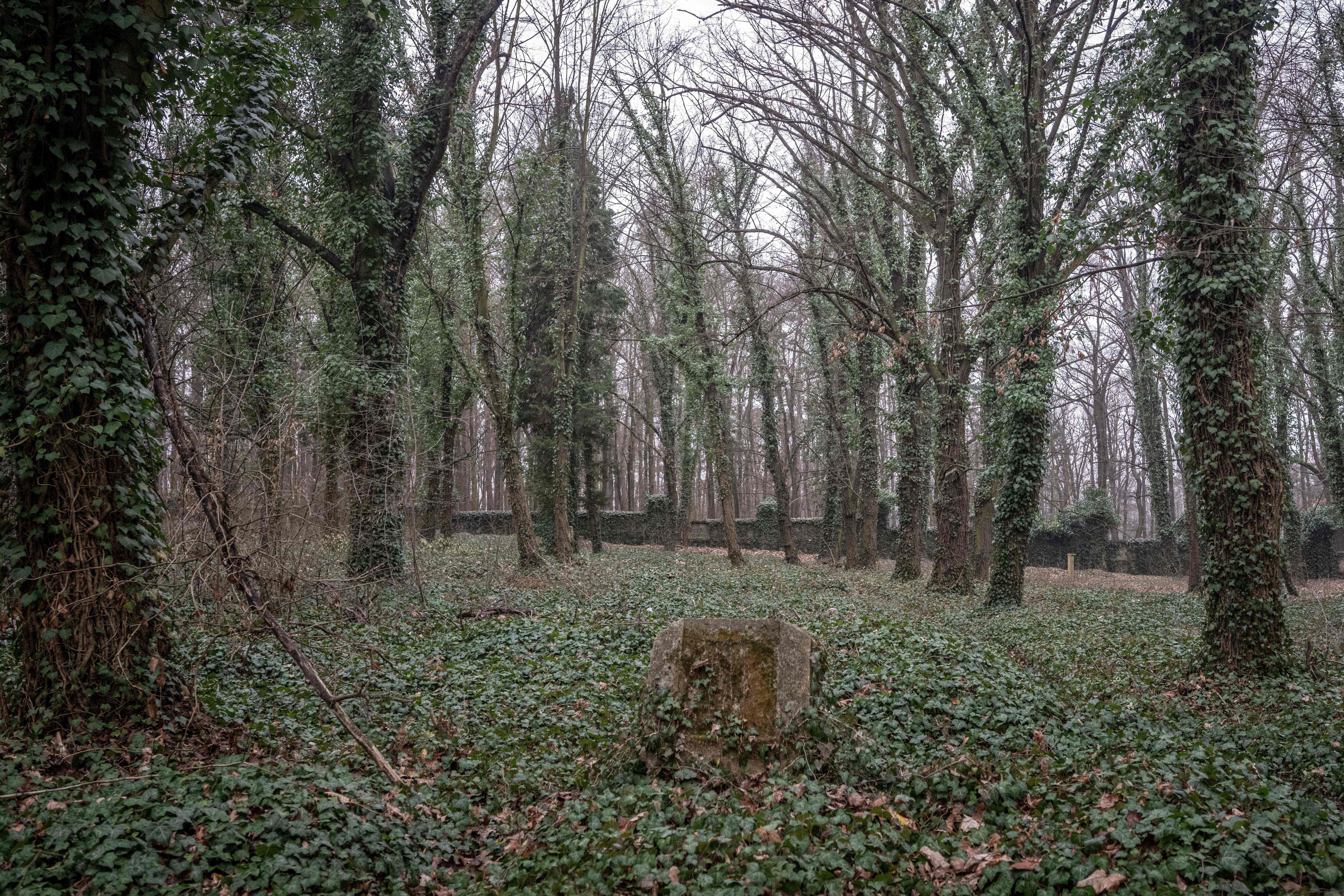 El &#039;cementerio de los locos&#039; de Praga: un camposanto abandonado y maldito