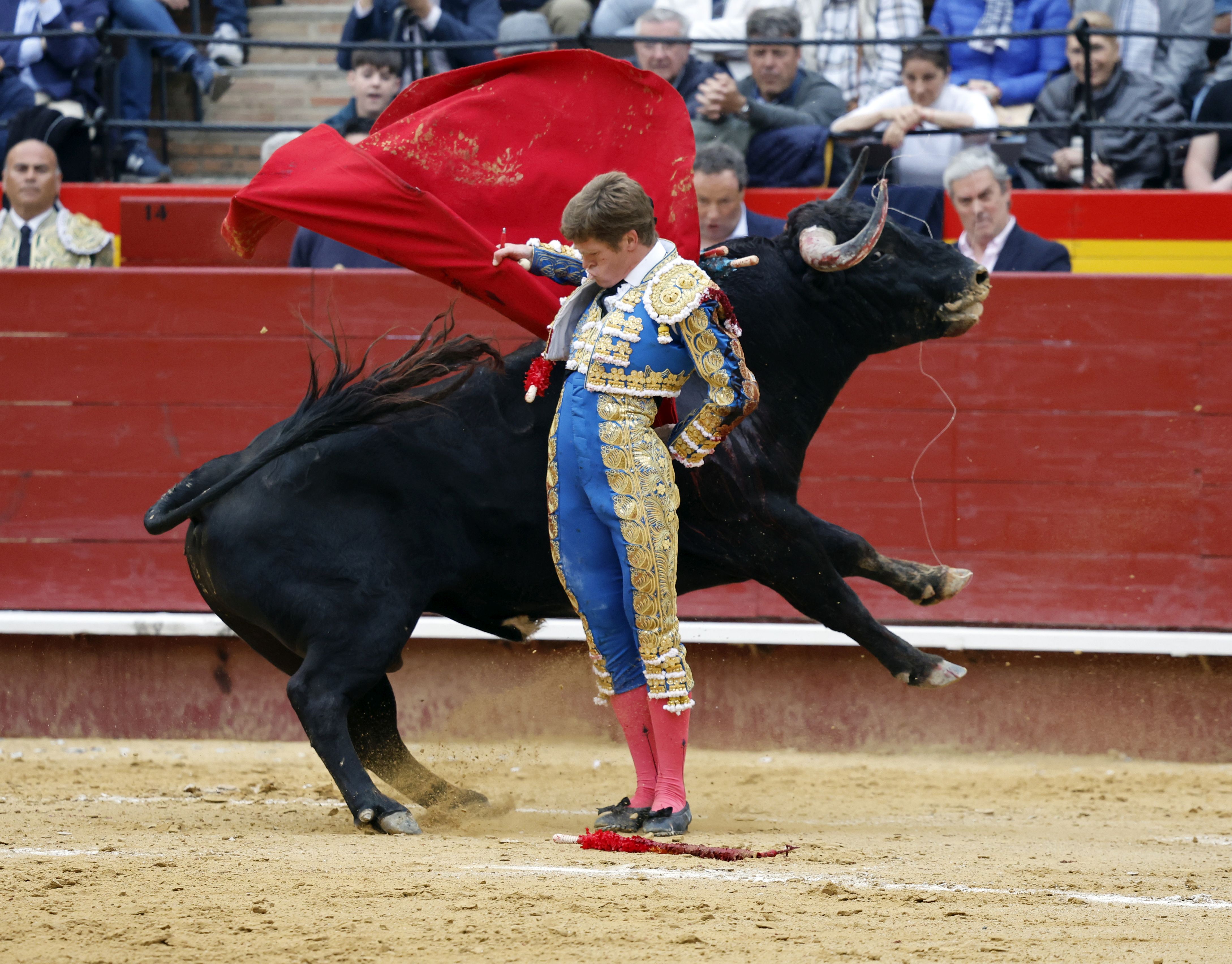 Fotos de la corrida de toros de la Feria de Fallas del 19 de marzo