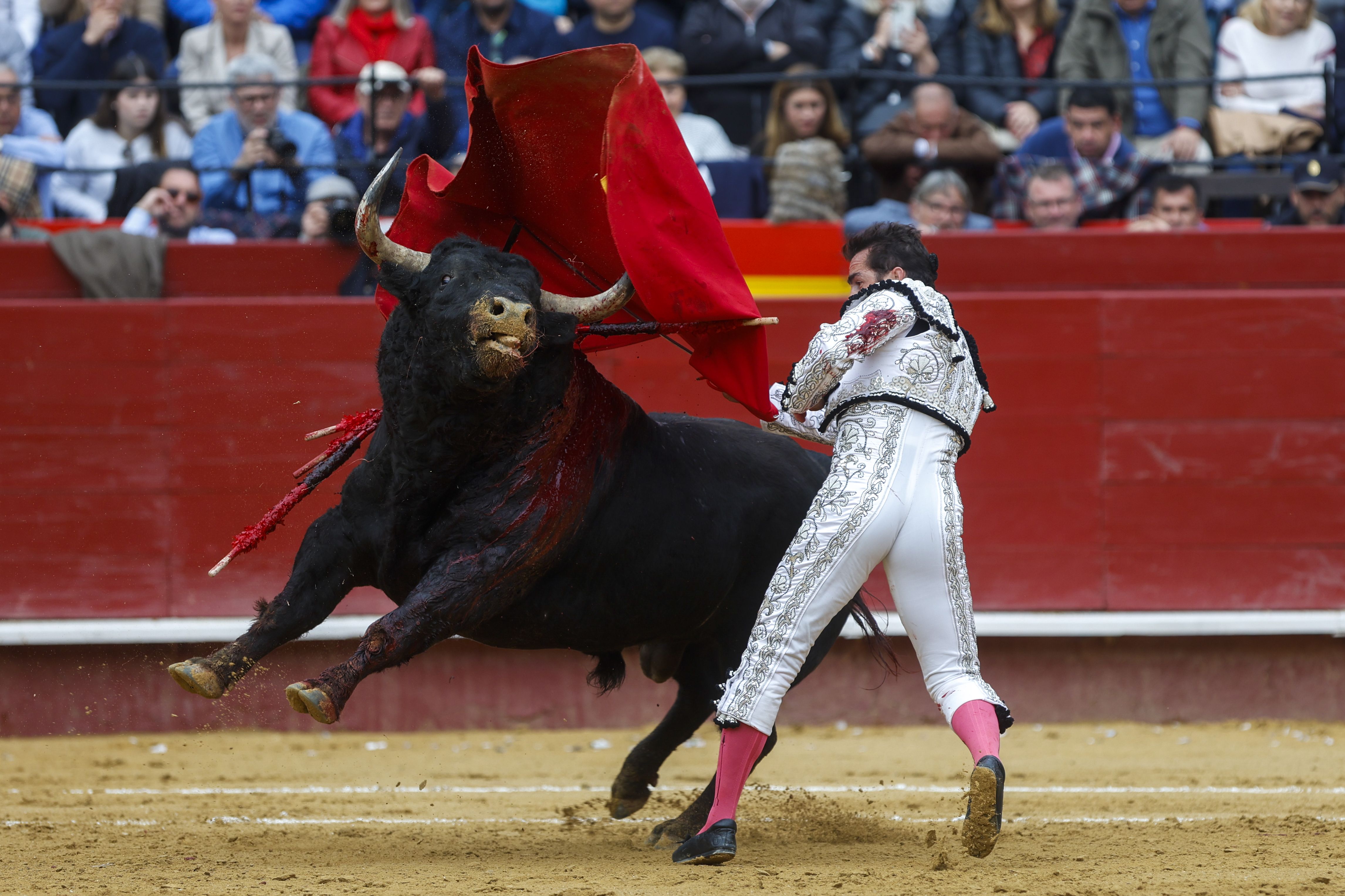 Fotos de la corrida de toros de la Feria de Fallas del 19 de marzo