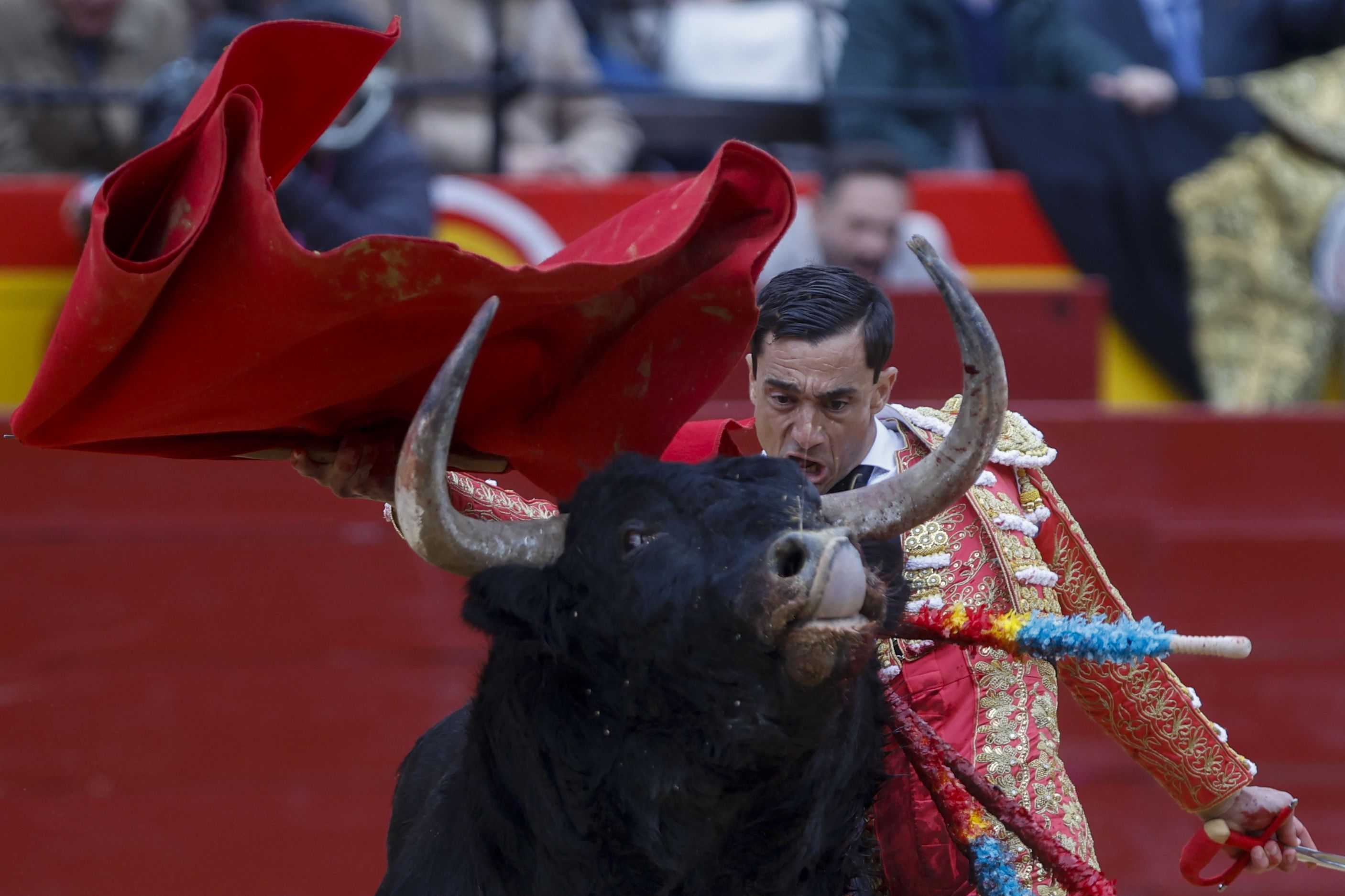 Fotos de la corrida de toros de la Feria de Fallas del 19 de marzo