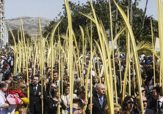 Procesión de Domingo de Ramos en Elche.