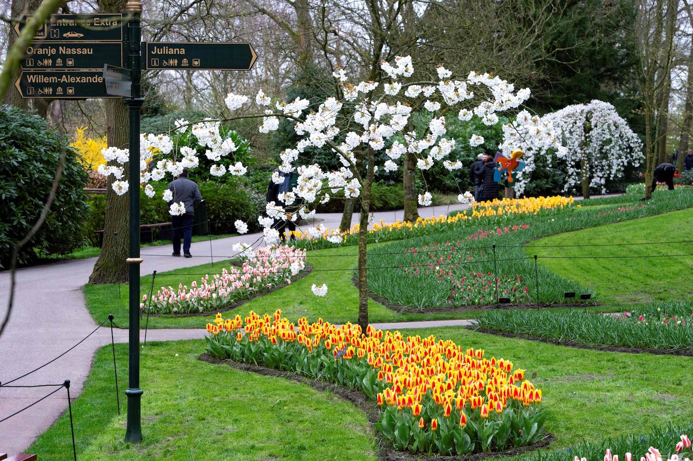 El mayor jardín de tulipanes del mundo abre sus puertas en primavera