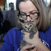 Por qué los gatos prefieren a las mujeres