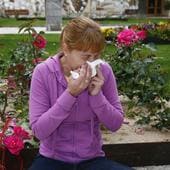 Una mujer estornuda por la alergia al polen.