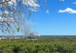 Incendio de cañar declarado en la zona Camí Almardá de Sagunt.