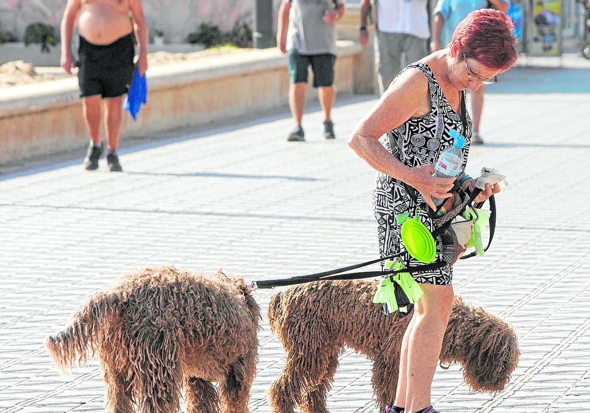 Una mujer pasea con sus dos perros.