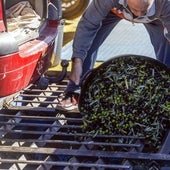 El precio del aceite inicia una tendencia a la baja en la Comunitat