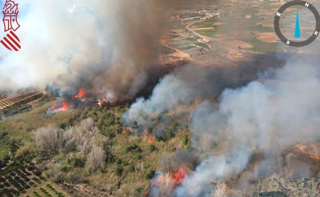 Declarado un incendio forestal en el Parque Natural del Túria