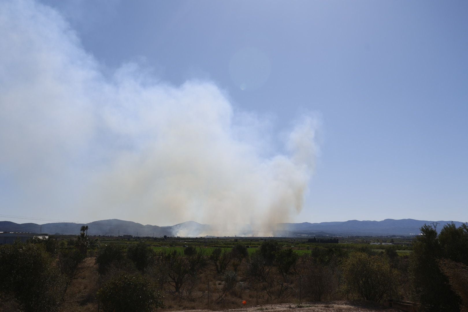 Declarado un incendio forestal en el Parque Natural del Túria