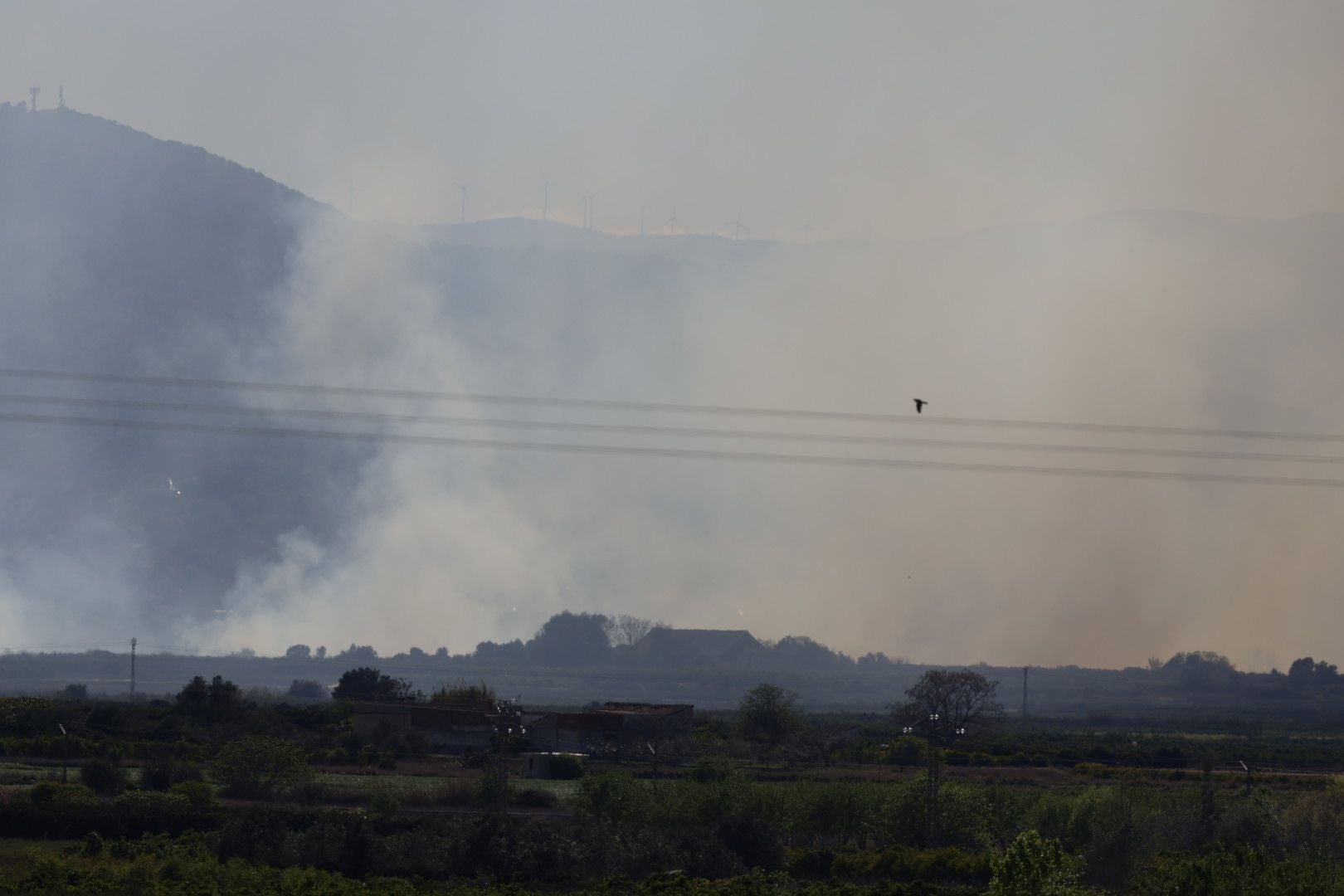 Declarado un incendio forestal en el Parque Natural del Túria