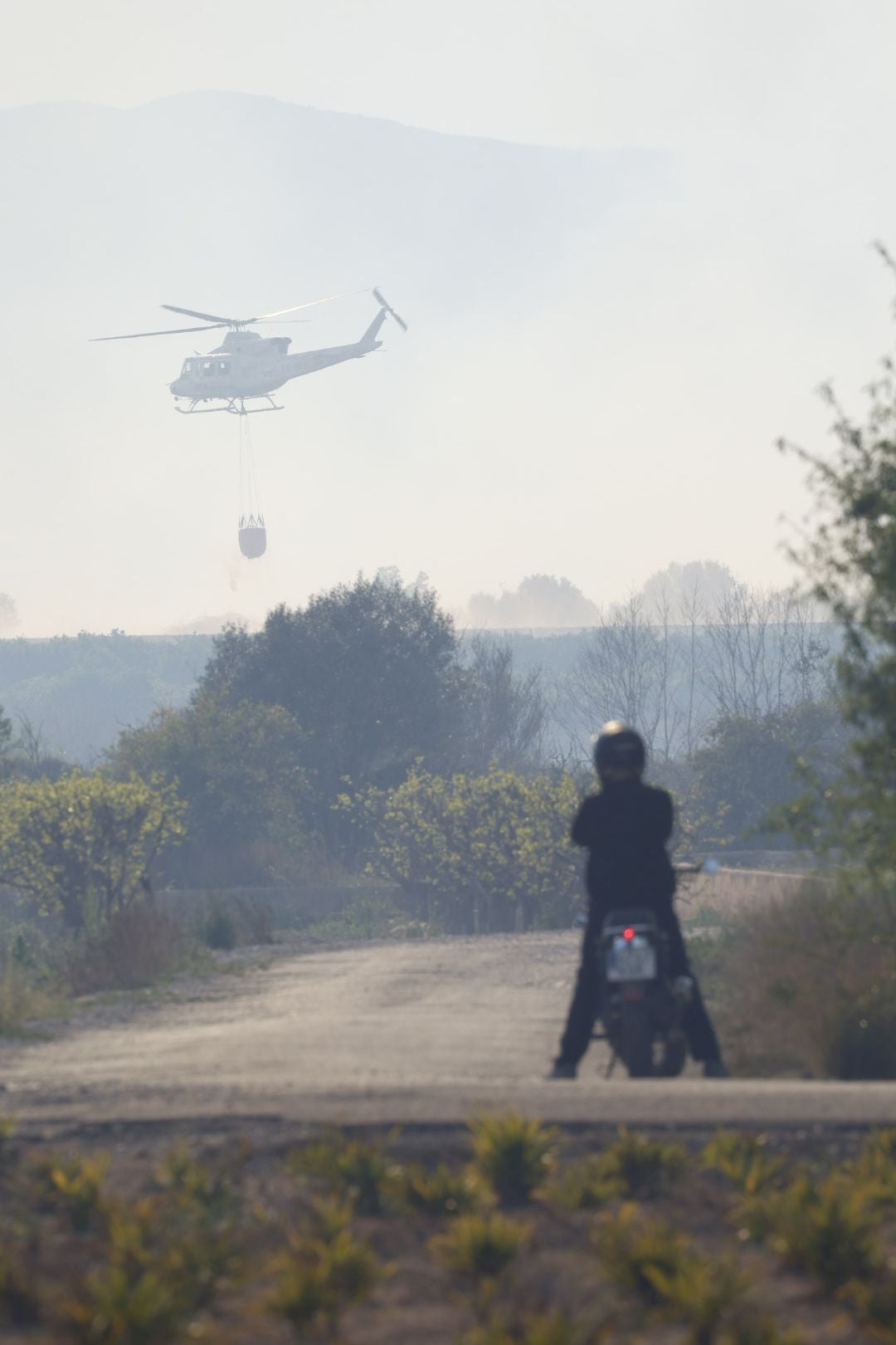 Declarado un incendio forestal en el Parque Natural del Túria