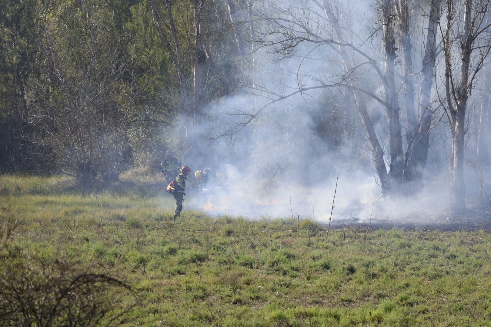 Declarado un incendio forestal en el Parque Natural del Túria