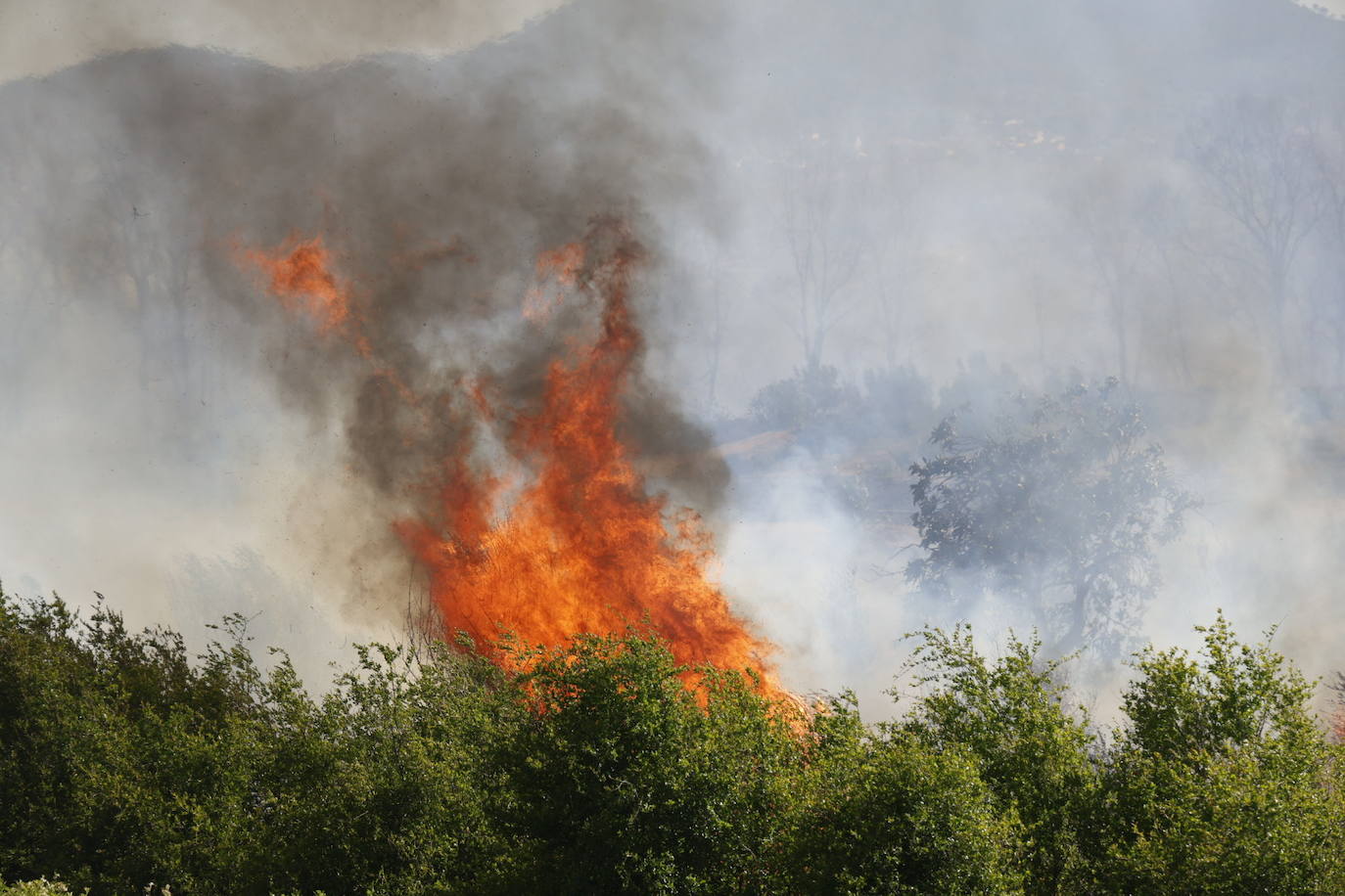 Declarado un incendio forestal en el Parque Natural del Túria