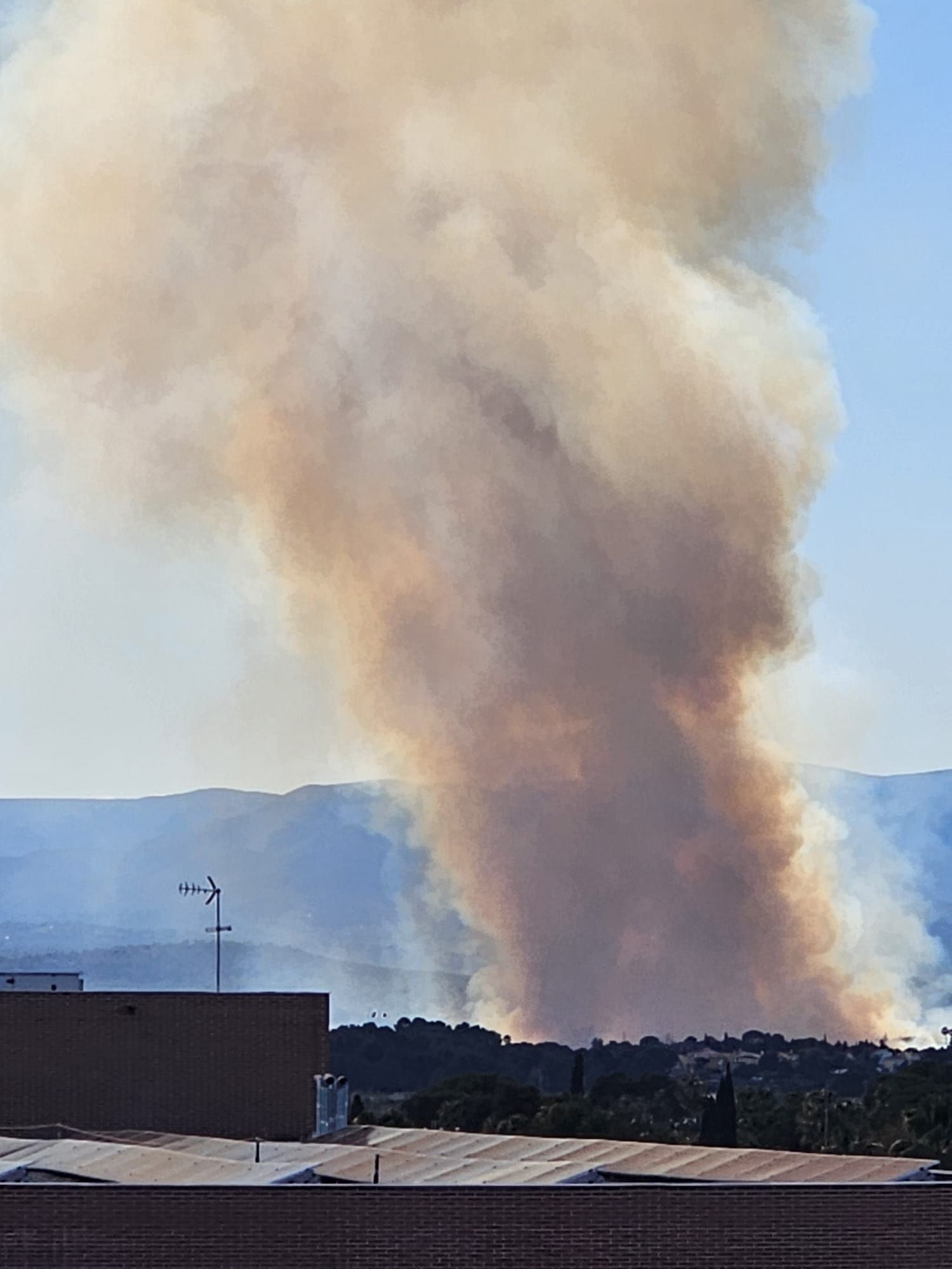 Declarado un incendio forestal en el Parque Natural del Túria